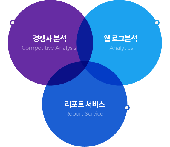 경쟁사 분석,웹 로그분석,리포트 서비스